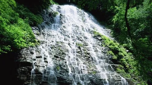 工业高效高标准